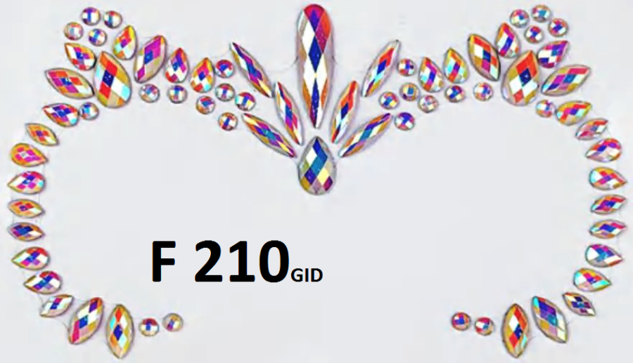 F 210 GID