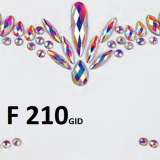 F 210 GID